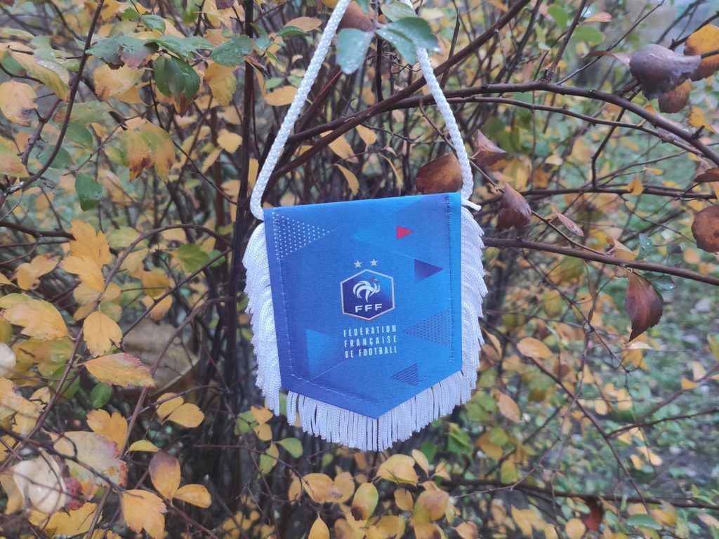 Збірна України з футзалу: товариський матч зі збірною Франції