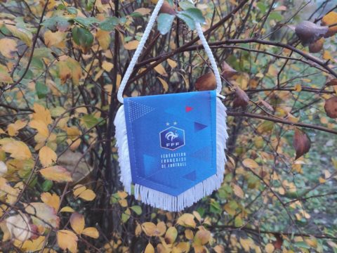 Збірна України з футзалу: товариський матч зі збірною Франції